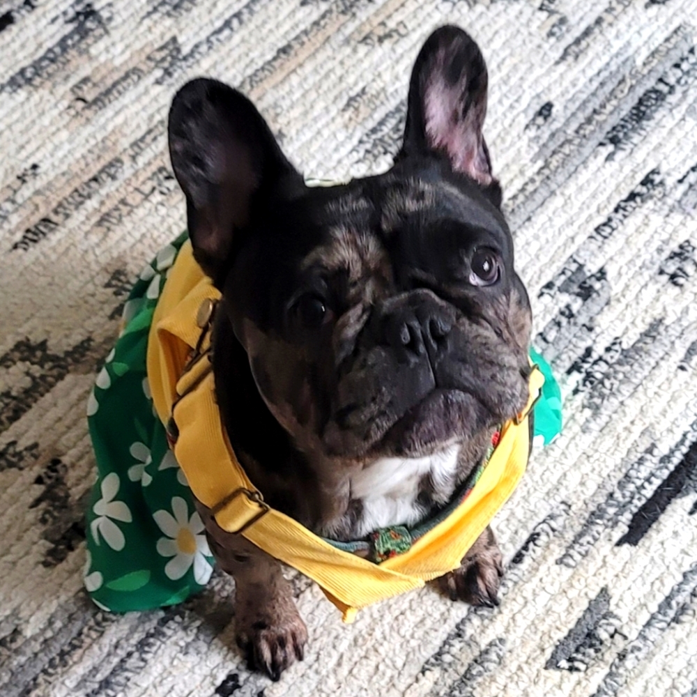 Meet your Posher, Amanda